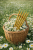 E80C91DD-CDA1-4735-A650-A92861DDF893.png