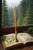 703D19EC-2F68-4429-B789-2E4749A8CCAC.png