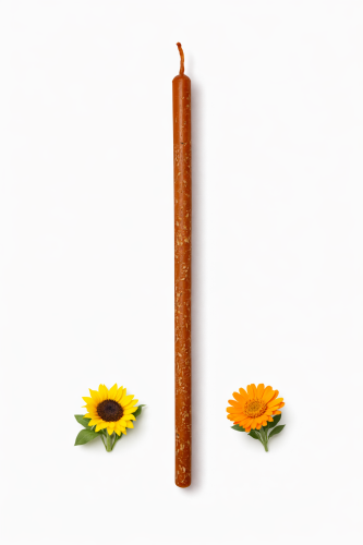 F7161E2B-F389-4E11-A5FB-8D91D9D9375C.png