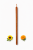 F7161E2B-F389-4E11-A5FB-8D91D9D9375C.png