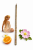 46D5D59A-8B12-4573-8F14-5A35FAAAA67D.png