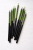 DC84AF7F-2942-4373-BE16-A7CB4CE41C13.png