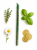 47DD9897-073F-4350-ADA4-1C7856EBAB4D.png