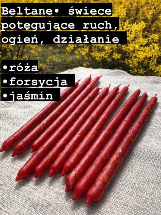 4F2AF3AF-BB41-4B08-891D-E567AB38A7A0.jpeg