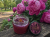 F5D7CB15-5B3D-4585-8FE4-FEF56FF5CC95.png