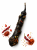 9581EBF5-7083-431D-A6DC-C2CAD986F67C.png