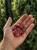 E0AEB4E6-D759-4F1A-B67A-3B403249D146.png