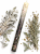 23F7E33D-C9D2-41B9-B0F5-AE063E1F2227.png