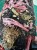 IMG_5413.jpeg