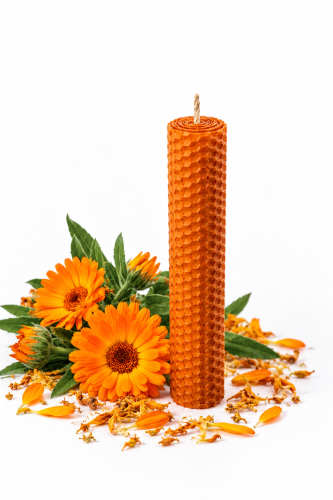 0D660639-EBFA-4046-BD4A-D4CCA189F347.png