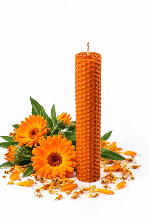 0D660639-EBFA-4046-BD4A-D4CCA189F347.png