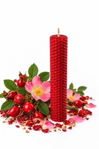 EB4C2832-B7E3-4302-B7C0-B4E29B7BA9B0.png