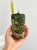 C63FA349-EE24-40E3-804B-2C77D7C2F29A.png
