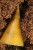 IMG_0643.jpeg