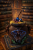 2E1914A1-EEED-46B6-8469-14976C2AD028.png