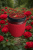 22DA4C7D-9C3A-4A61-8330-0EA00FEB679F.png