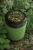 369B7EB1-BDC3-490E-9687-BF76BC1E0CB2.png