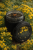 D08108F2-B86B-4A38-859A-B568BF347149.png