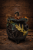 6C1F4552-76BE-4798-AF73-71AA2A045F4C.png